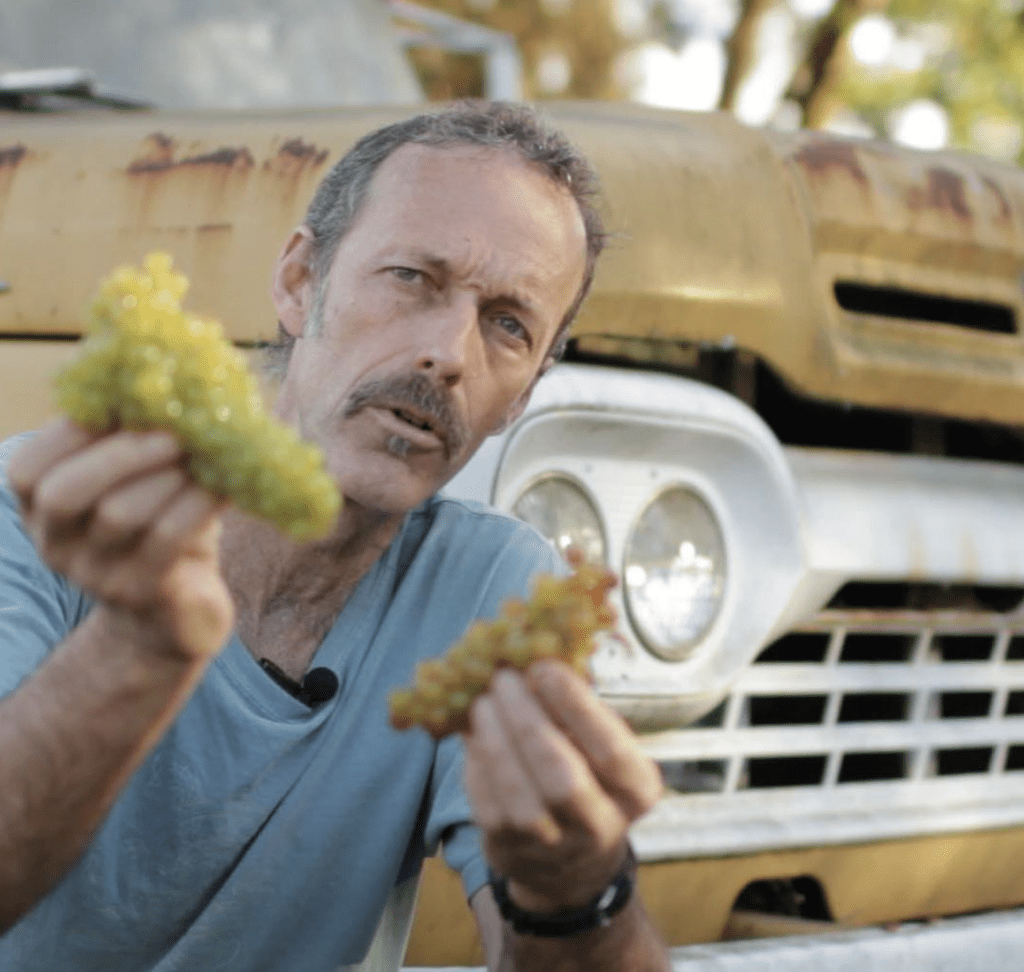 owner Fred Scherrer holding grape clusters